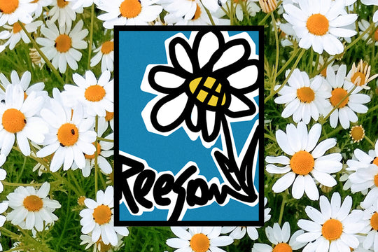 reeson brand margherita daisy flower design original organic cotton